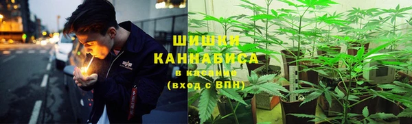спайс Богородицк